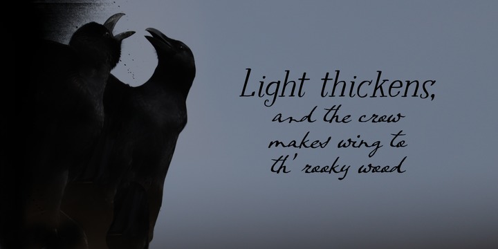 Crowfeather Font Family插图1