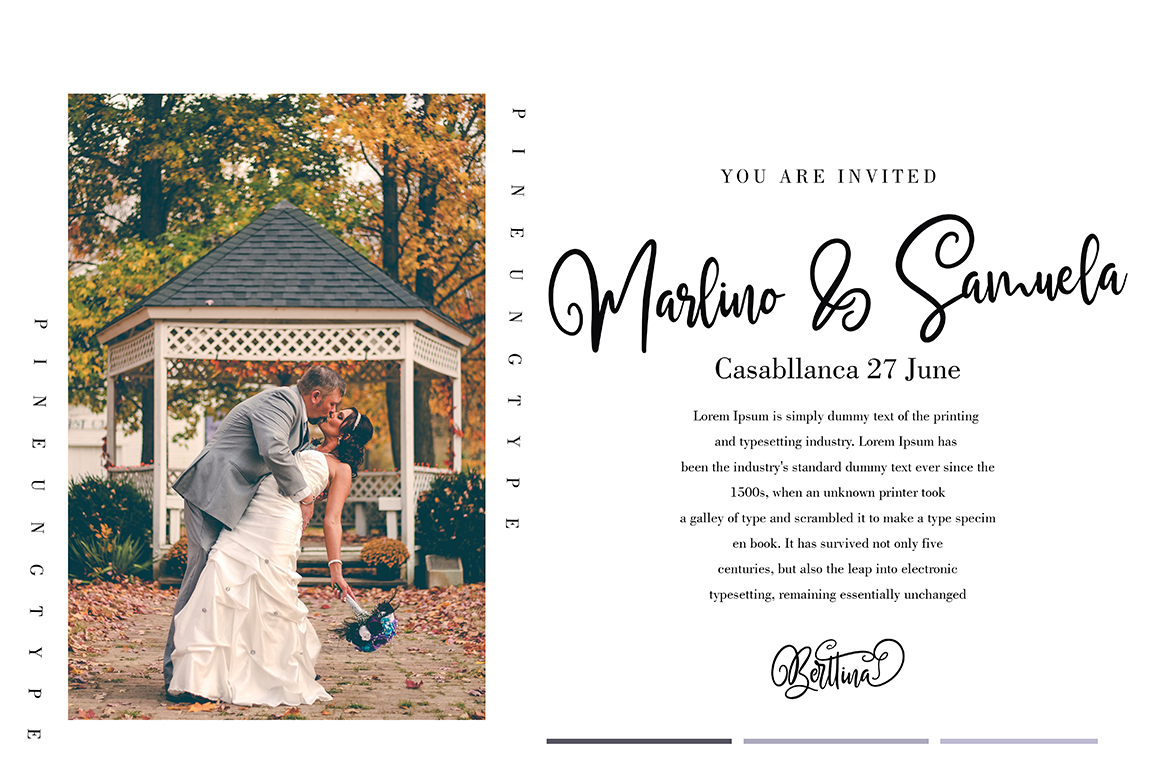 FontBundles – Berttina插图2