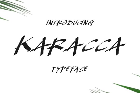 Karacca Typeface插图