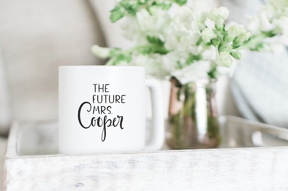 Magnolia Merchant Font Family插图5