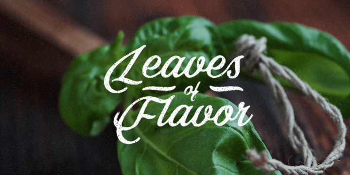 Bellino Font Family插图1