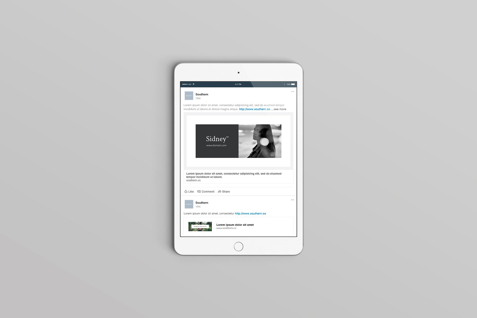 时装大片社交媒体贴图模板素材库精选 Sidney Social Media Templates插图(3)