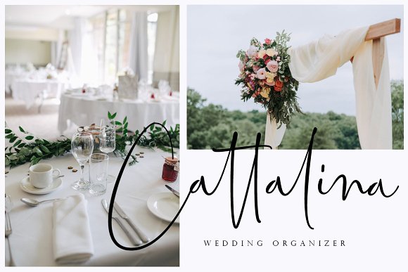 Bettrish // Stylish Signature Font插图5