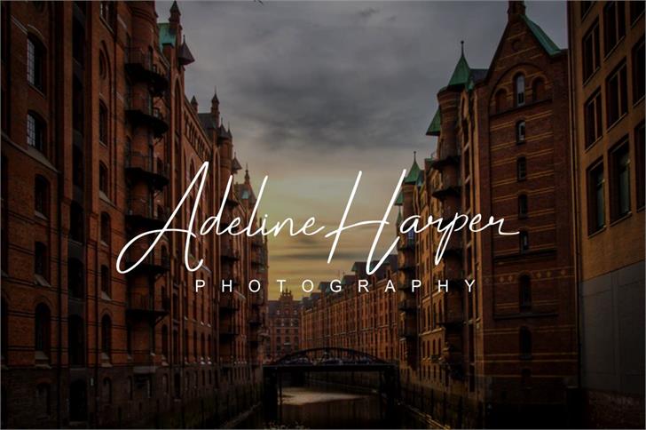 Darcey Oliver font插图4