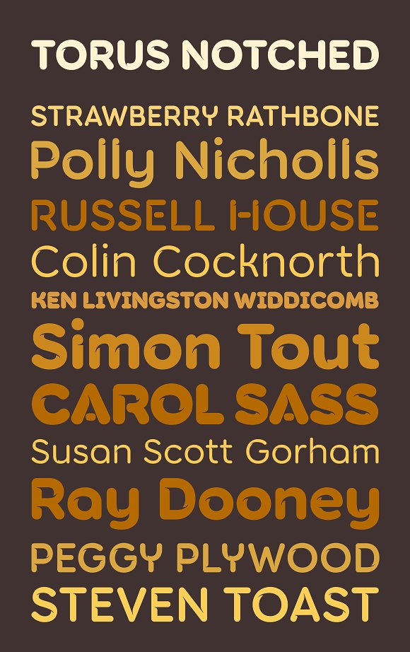 Torus Notched – 6 Dynamic Fonts插图1