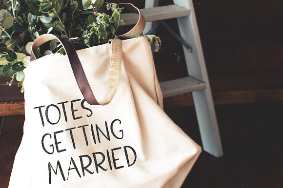 Magnolia Merchant Font Family插图3