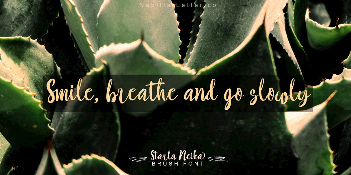 Starla Neika Font Family插图3