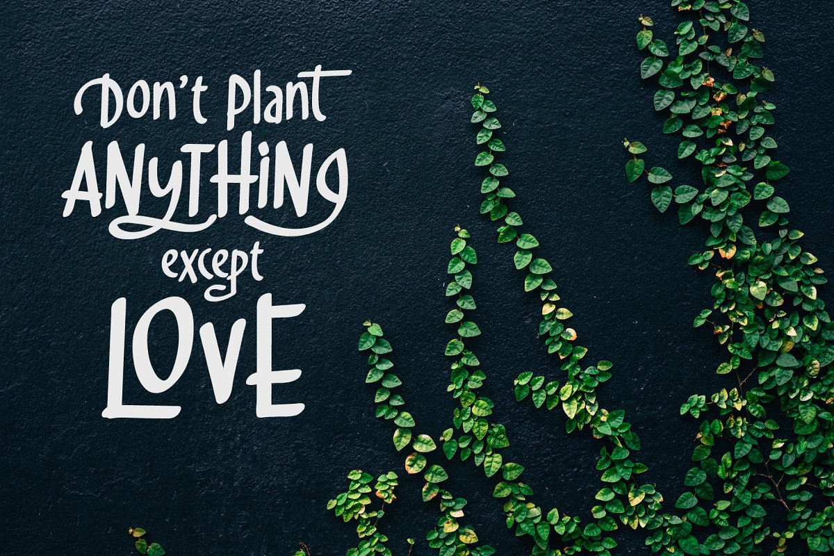 Mellynda Font插图1