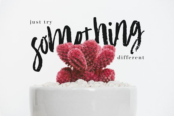 Academy House Brush Font插图1