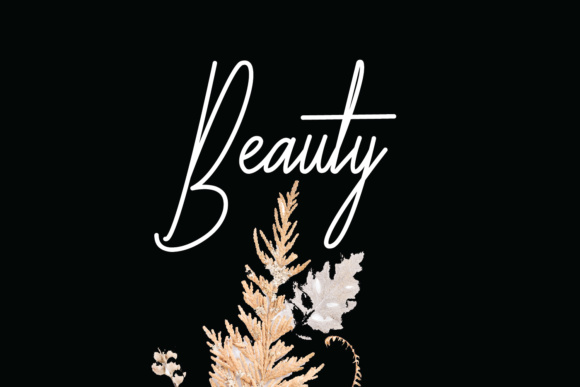 Galliyani Font插图4