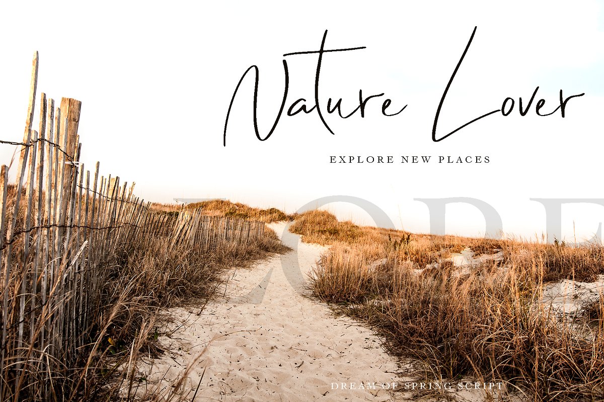 Dream of Spring Font插图3