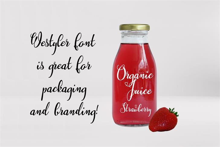 Westyler font插图2 Westyler font插图2