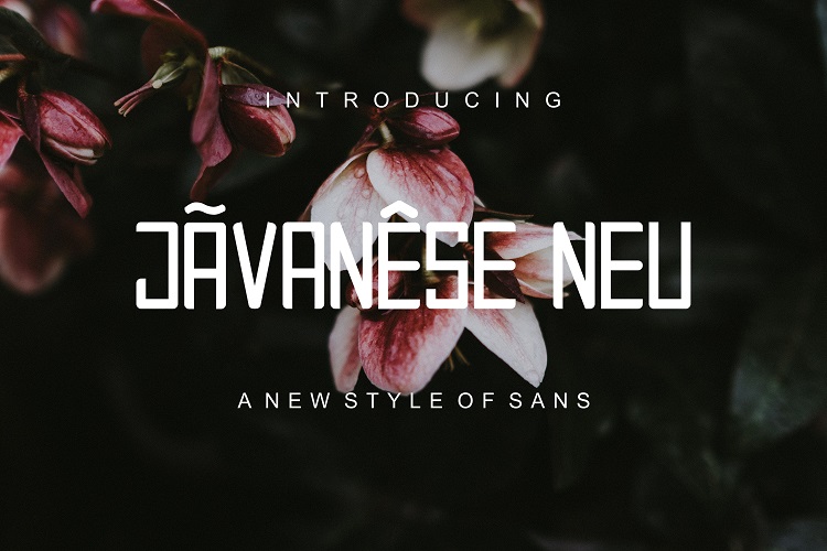 JAVANESE NEURegular Font插图