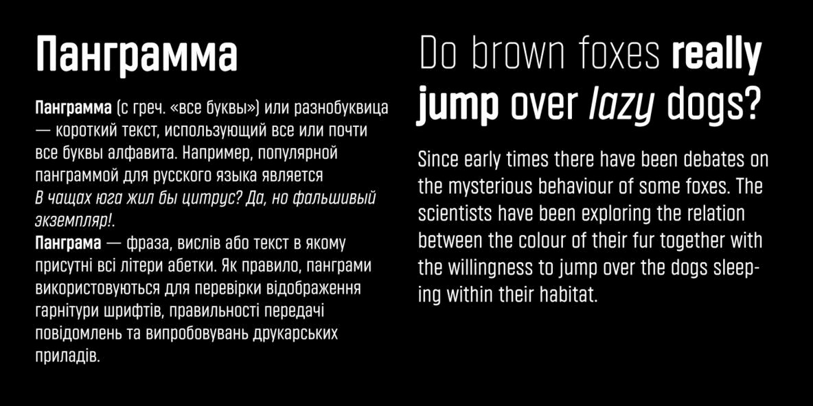 Vin Sans Pro Font Family插图4