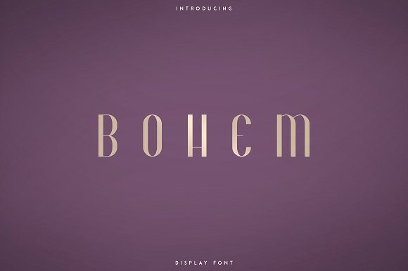 Bohem – Display font | 2 styles插图