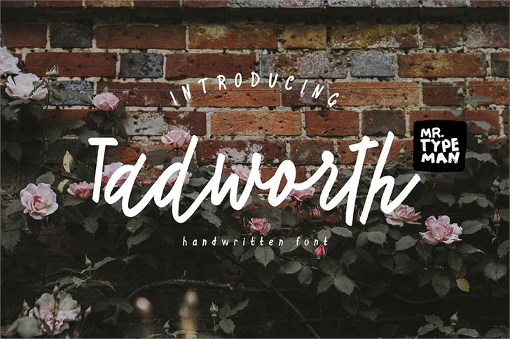 Tadworth font插图