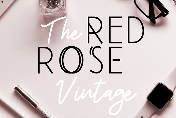 Beauty Salon Modern Font Duo插图4