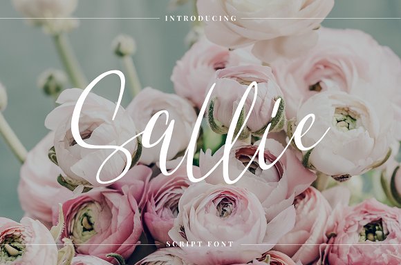 Sallie Font插图