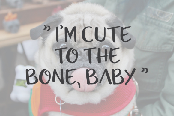 Ucu Aned Font插图1