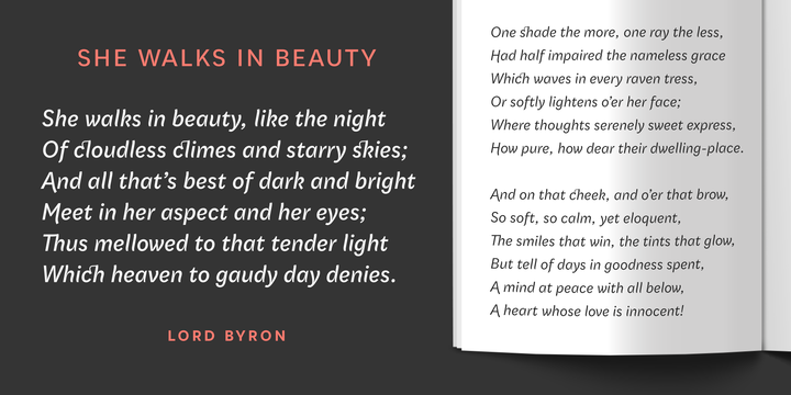 Qualion Text Font Family插图3