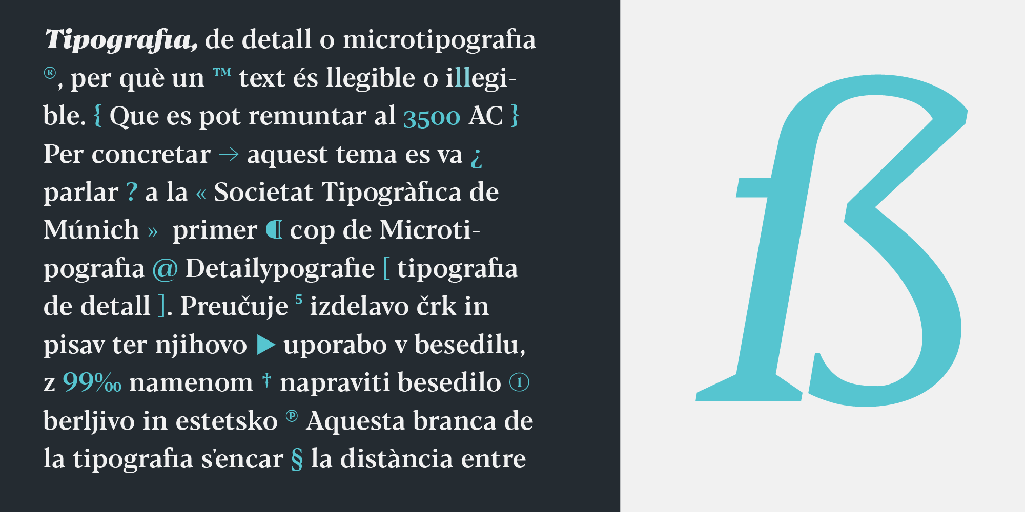 Blacker Font Family插图3