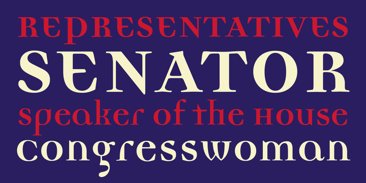 Democratica Font Family插图1