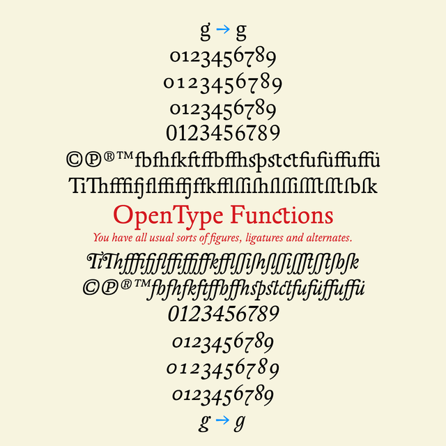 Regula Font Family插图2