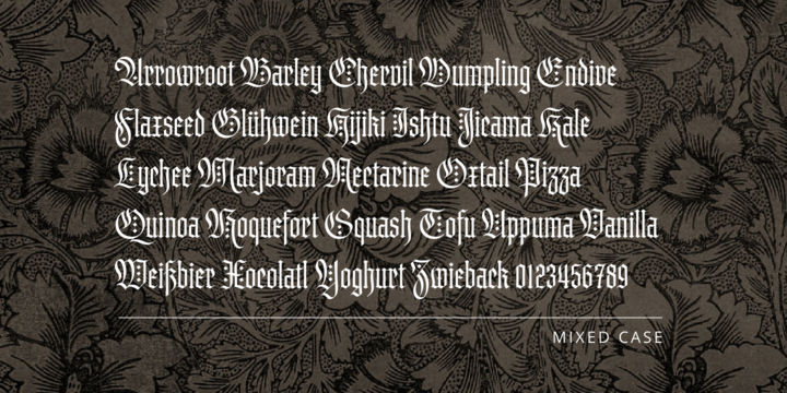 Brilliance Font Family插图1