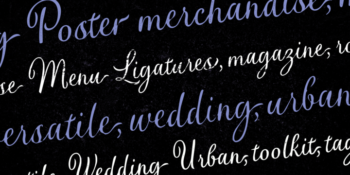 Verao Font Family插图4