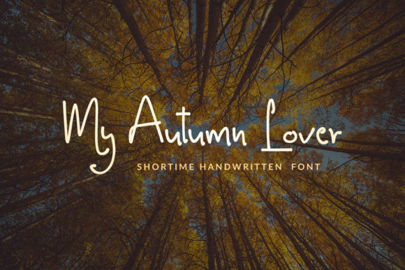 Shortime Font插图1