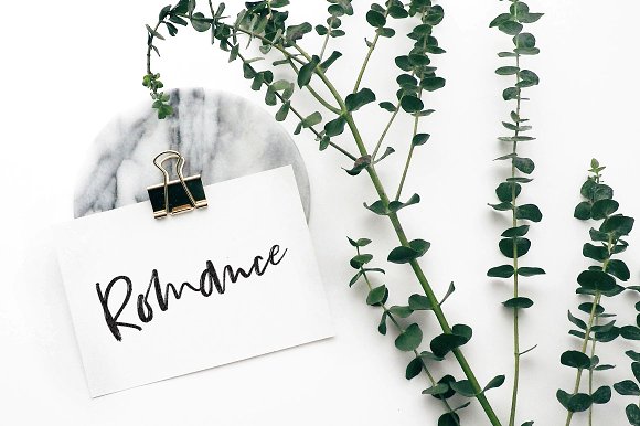 Bestlady Brush Font插图6