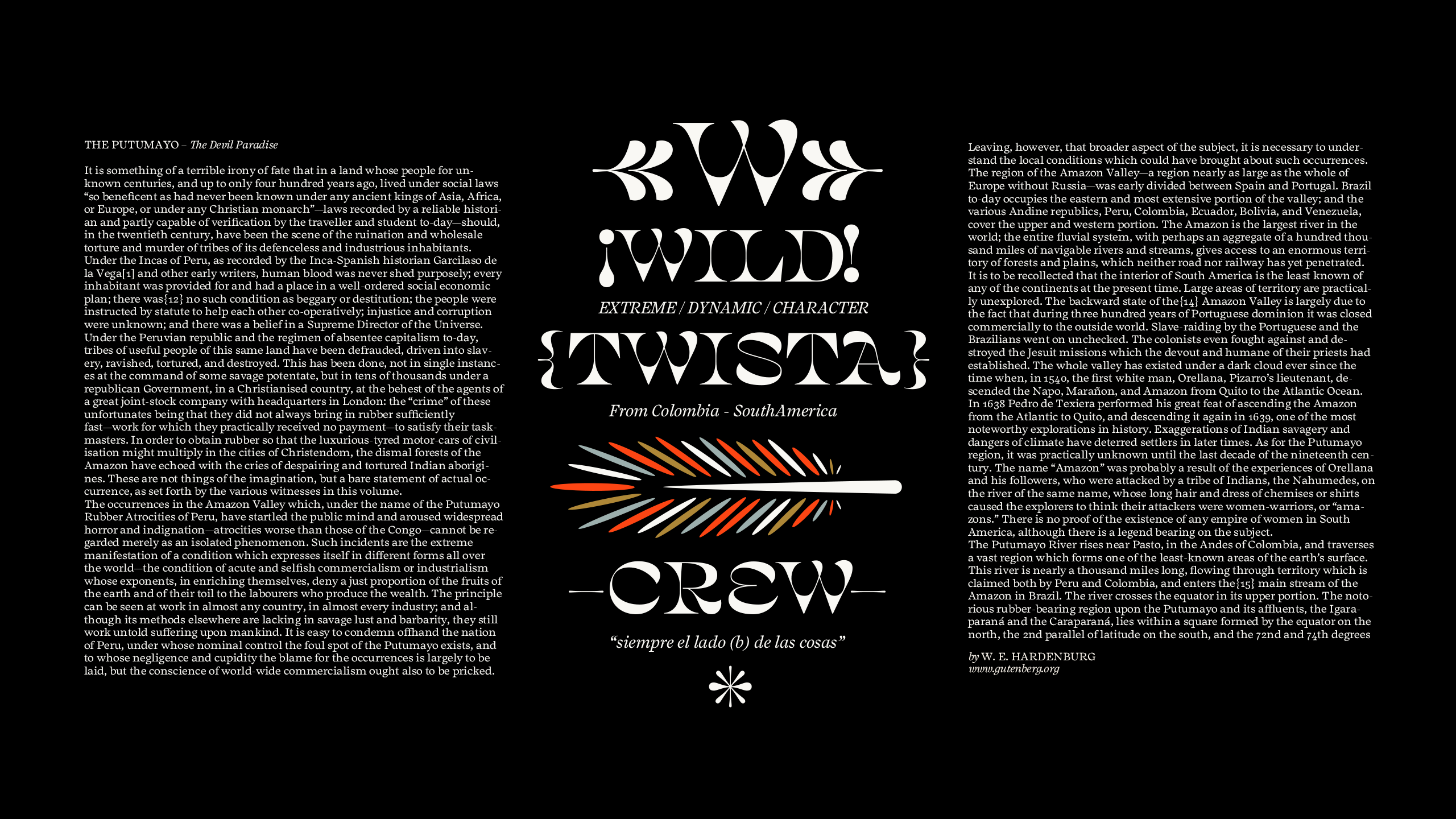 Salvaje Display Font Family插图12