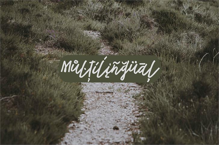 Tadworth font插图5