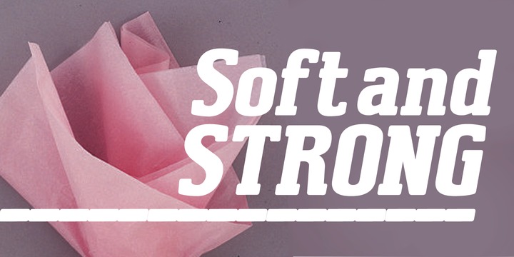 Brando Font Family by Studio K插图3