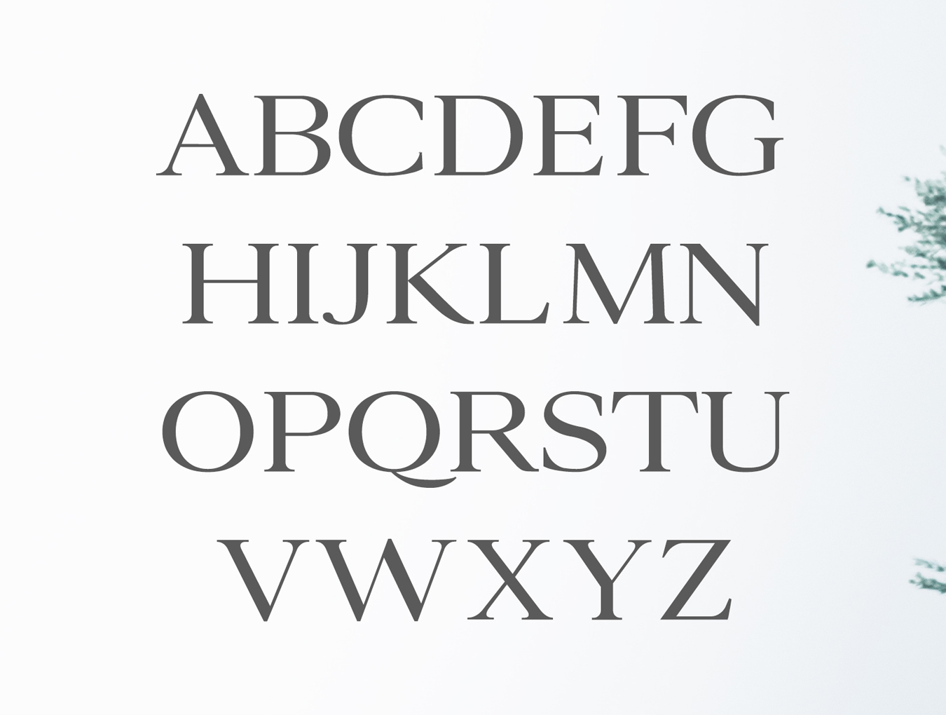 文艺范的衬线字体下载插图(1)