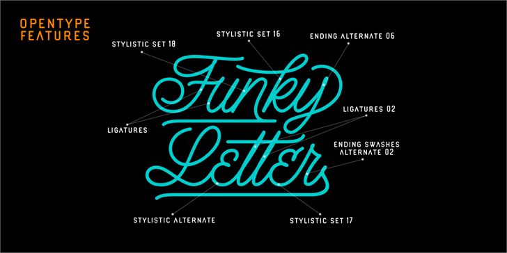 Lazy Ride Personal Use font插图4