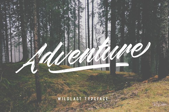 Wildlast Handbrush Typeface插图5