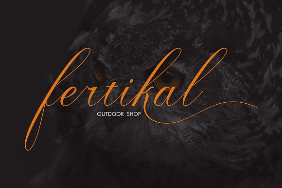 Fazlodia Font插图4