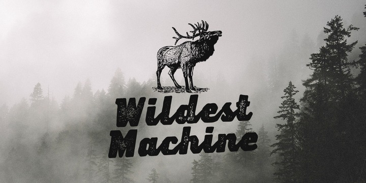 Lemoo Font Family插图2