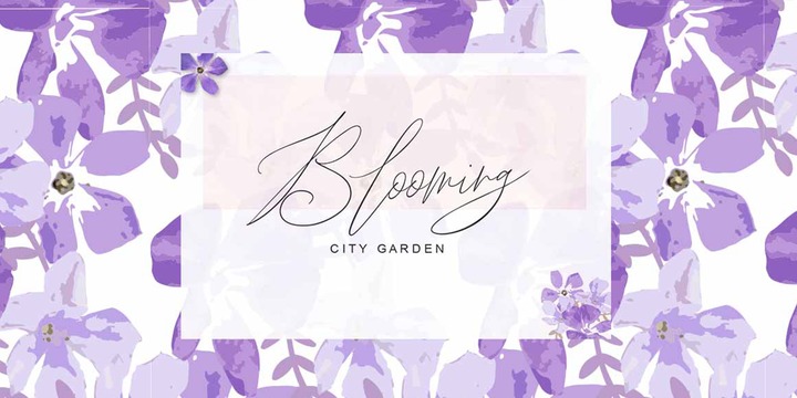 John Davidson Font插图1