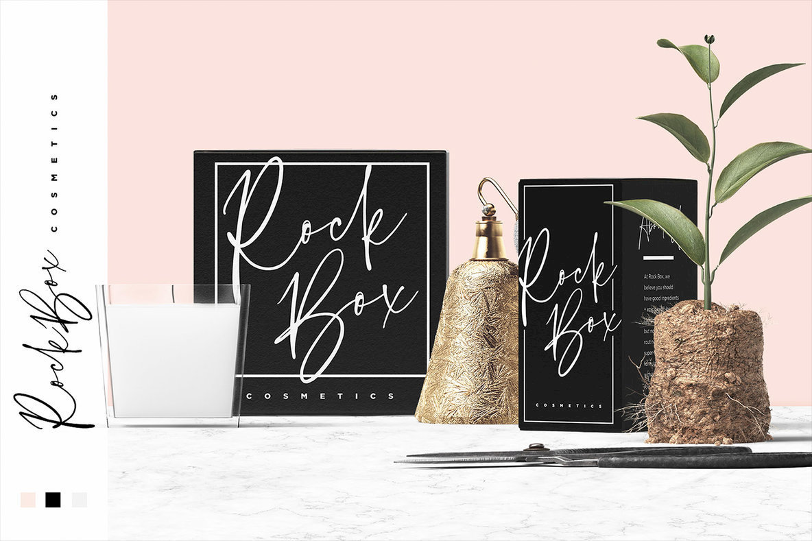 Bird And Thorn Font插图1