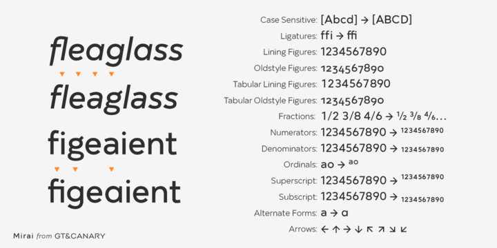 Mirai Font Family插图5