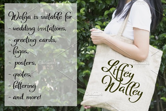 Welga Font插图1