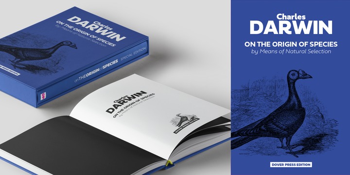 Fieldwork Font Family插图4