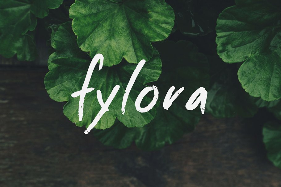 Lookbook风格植物主题Powerpoint模板 FYLORA Lookbook Powerpoint Template插图(1)