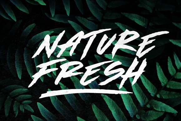 Made by Bears – Font插图1