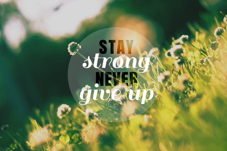 20款Ins社交媒体平台适用Banner模板素材库精选 20 Inspiring Instagram Banners插图(7)