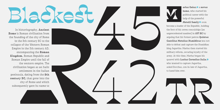 Blackest Font Family插图1