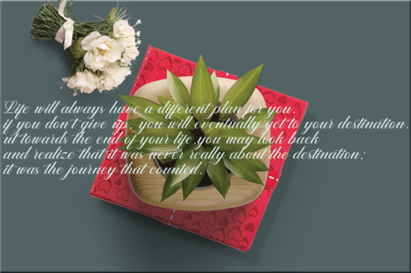 Mariabella Font插图3