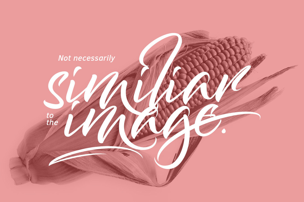 Bantham Typeface插图2